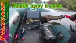 Ловля щуки разловил новый воблер