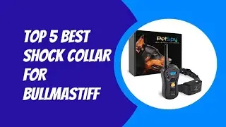 TOP 5 BEST SHOCK COLLAR FOR BULLMASTIFF 2023