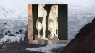 Sinsajo - Vigilant (Audio)