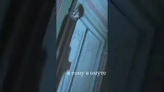 Дима Матвеев