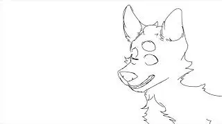a wip video