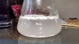 Дрожжевая медитация