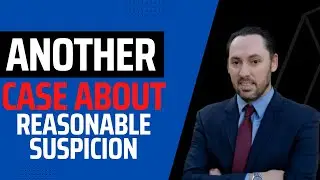 Reasonable Suspicion - Case Law Analysis