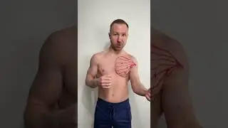 Massage of the pectoralis major muscle