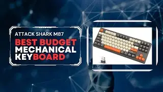 WHAT DID I BUY?! Attack Shark m87 or FreeWolf m87 review. Best budget keyboard!