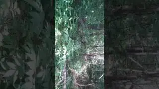 Аксу-74 тоз