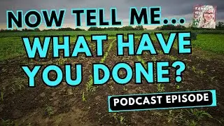 Celebrate Your Homesteading WINS | Farmish Kind of Life podcast | Epi 284