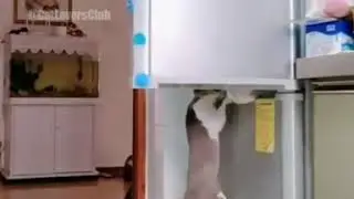 Что там у нас на завтрак?