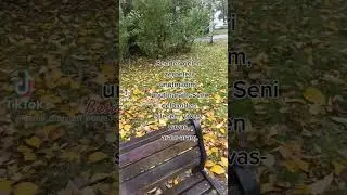 Senden gelen zerbeleri unutmadim unutmaram.Seni qelbimden silecem yavas-yavas aram-aram