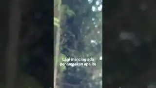Penampakan