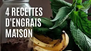 4 FREE FERTILIZERS (HOMEMADE)