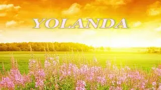 YOLANDA! WHAT DO YOU MEAN?