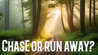 Chasing Dreams or Running Away: Which Path Are You On?