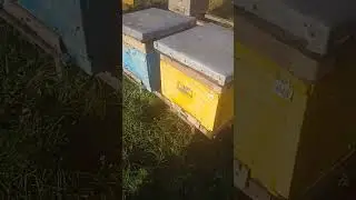 2 ноября 2023 г.