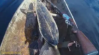 По щучьему велению