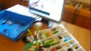 Заяц