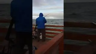 Ловля камбалы на балтийском море
