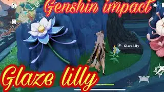 Finding glaze lilly and silk flower in yujing terrace in liyue harbor /genshin impact/ latest update