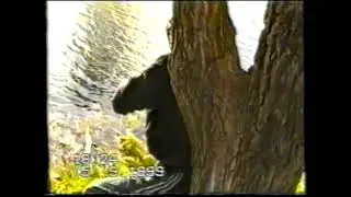 Испытание тарзанки