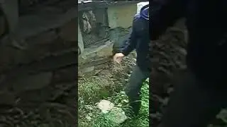 Давай ебашь 