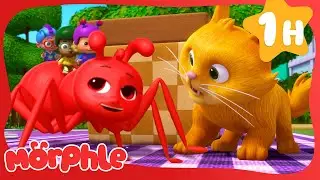 Teeny Tiny Picnic Problem |  Mila and Morphle | Fun Cartoons for Kids