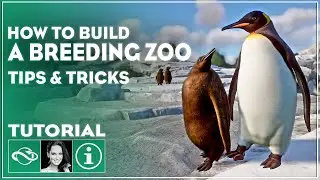 ▶ The Ultimate Guide to Starting a Breeding Zoo in Planet Zoo | Tutorial | Tips & Tricks