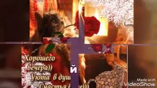 Добрый вечер.