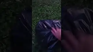 1 августа 2024 г.