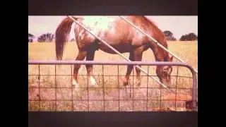 great southern land