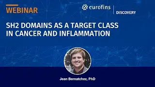 SH2 Domains as a Target Class in Cancer and Inflammation