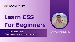 Colors in CSS (Hex, RGB, HSL, ColorNames)