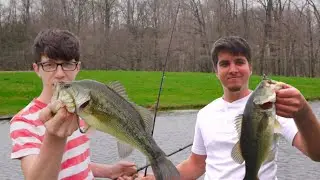 How to Catch Bass With Live Bait! Tips and Tricks!