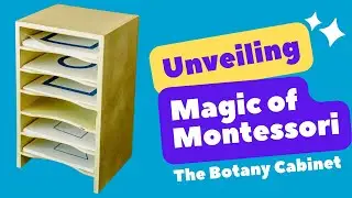 Unveiling the Magic of Montessori The Botany Cabinet