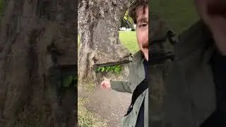 This tree is eating a bench. 