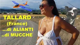 FRANCE - Tallard between Gliders and Cows