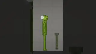 гало попик