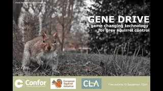 Gene Drive - a game changing technology for grey squirrel control