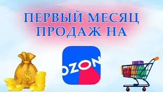 Сколько можно заработать в первый месяц на OZON? | Финансы