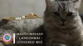 [skw] เพลงรักเพลงแรก (Blooming) - LANDOKMAI【Covered MV】