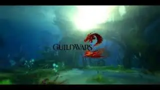 ►The Beauty of Guild Wars 2◄