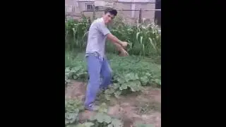 КОРОЧЕ ГОВОРЯ Лада Седан Баклажан