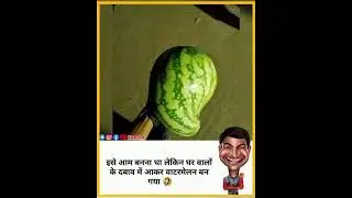 🤣🤣🤣🤣#utubeshorts #funny #viralshorts #memesvideos #short #comedyshorts