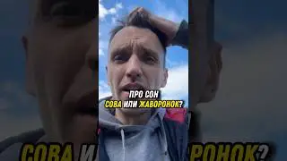 Про сон. Ты сова или жаворонок? Режим дня. #мышление #психология #саморазвитие #сон #режимсна