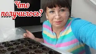 Что получилось? Ревизия рассады. Рецепт быстрой выпечки из простых продуктов. Жизнь семьи в деревне.