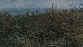Nortas - Dulkės