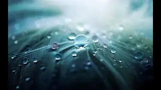 Nature Rain Sound Relaxation/Ultimate Stress Relief, Deep Sleep [ 10 Hours ]