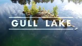 FANTASTIC Gull Lake Adventure!