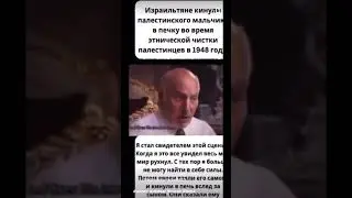 13 декабря 2023 г.