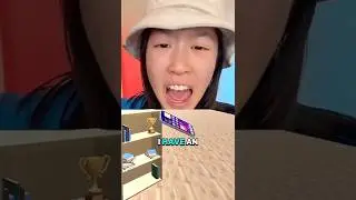 Phone Flipping Bookshelf Filter 📱