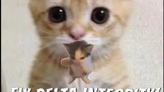 Fix delta integrity iOS ￼